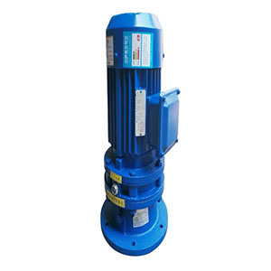 BLY/XLY立式擺線針輪直連一體式